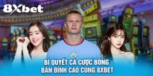 Bí Quyết Cá Cược Bóng Bàn Đỉnh Cao Cùng 8XBET